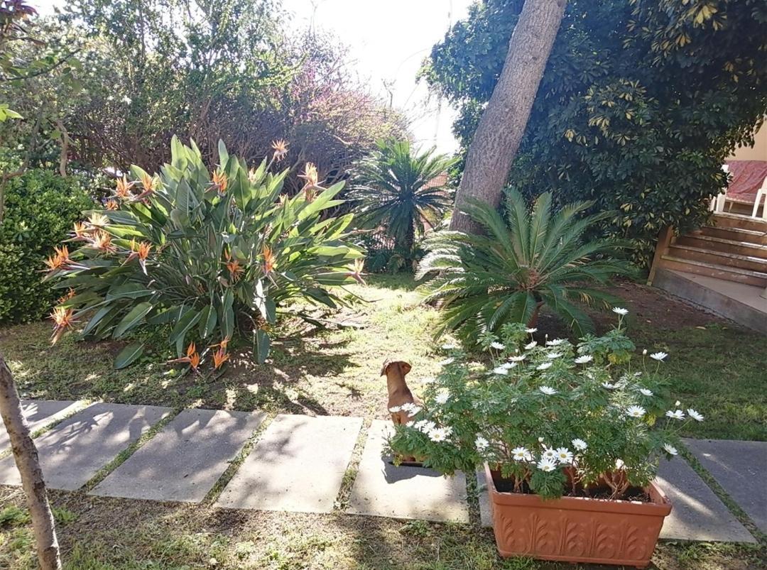 קליארי Luis&Susy Home, מראה חיצוני תמונה