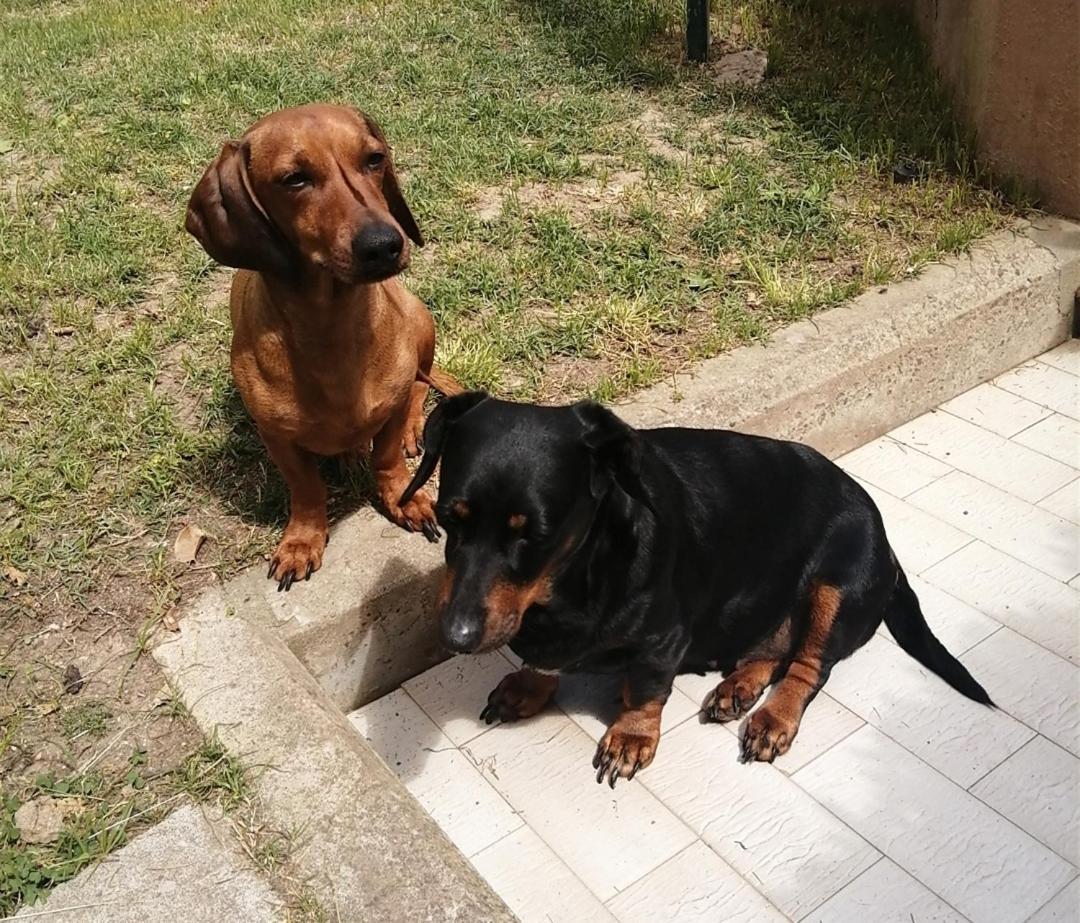 קליארי Luis&Susy Home, מראה חיצוני תמונה